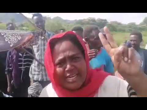 لاجئوا غابات اولالا باثيوبيا رسالة قاسية الى العالم