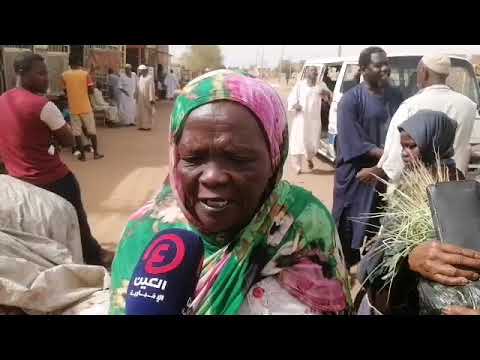 امراة مسنة تطالب بوقف الحرب في السودان